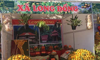 Quýt vàng Bắc Sơn trưng bày, giới thiệu tại Lễ hội .Ảnh: Duy Chiến