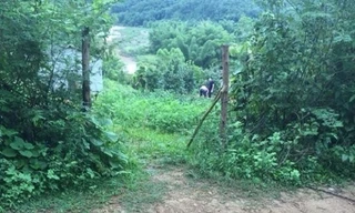 Nạn nhân được tìm thấy trong một lều hoang bìa rừng *ảnh: TN