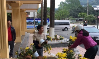 Phản cảm cảnh 'tranh cướp' hoa trang trí ở ga Đồng Đăng