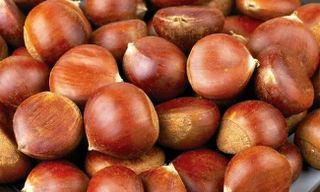 Ảnh minh hoạ: Internet