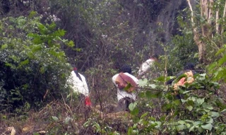 Tổ chức cho vợ mới cưới vượt biên về 'nhà chồng'