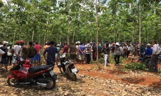 Nhiều vụ trọng án được phát hiện trong rừng. Ảnh minh họa