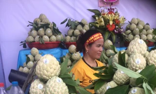 Lạng Sơn tính xuất khẩu na sang Trung Quốc