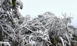 Mẫu Sơn như một cung điện mùa đông hoành tráng. Ảnh: Lăng Huy