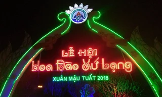 Lạng Sơn lần đầu có lễ hội hoa đào rực rỡ