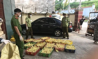 Lực lượng chức năng lạng Sơn đang kiểm đếm số hàng lậu thu giữ *ảnh: TL