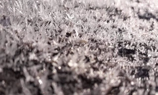 Băng giá tràn ngập cỏ cây, hoa lá ở Cao Bằng. .Ảnh Dương Dương