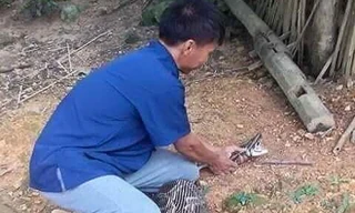 Lạng Sơn: Kinh hãi dê 15 kg bị trăn rừng nuốt trọn