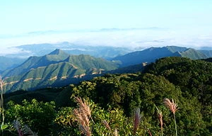 Khu vực phát hiện xác chết trên đỉnh Mẫu Sơn *ảnh: TL