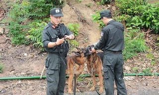 Công an tỉnh Lạng Sơn huy động chó nghiệp vụ truy bắt đối tượng lẩn trốn. (Ảnh minh họa)