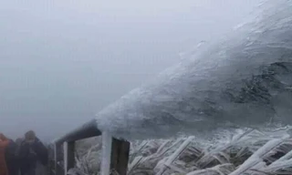 Thiên đường cỏ lau Đình Lập trắng xóa một màu *ảnh: S. Kiếm