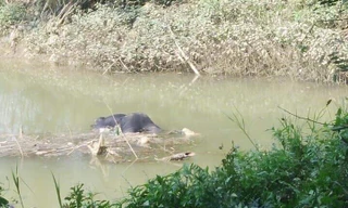 Hiện trường vụ việc .Ảnh: TL