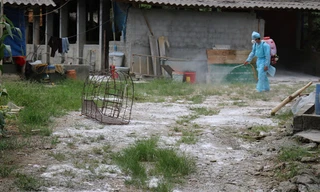 Nhiều đối tượng lợi dụng bệnh dịch covid-19 để lừa đảo và trộm cắp khi chủ nhà sơ hở. (Ảnh mang tính minh họa- TL)