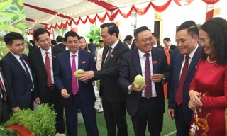 Các đồng chí lãnh đạo trung ương, địa phương thăm gian hàng huyện Chi Lăng, chiêm ngưỡng quả "na Hoàng hậu" .Ảnh: Duy Chiến