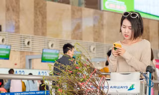 Nhiều đường bay 'cháy' vé Tết