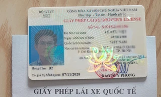 Nếu Việt Nam không luật hoá các quy chuẩn của Công ước Viên, bằng lái xe Việt Nam cấp sẽ không được sử dụng ở các nước thành viên, người dân phải thêm bước đổi bằng quốc tế như hiện nay.