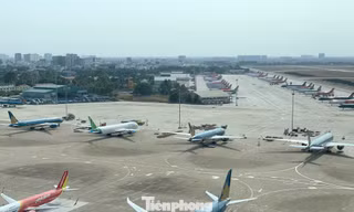 Có hãng hàng không "kêu" phí đỗ tàu bay quá cao, nhưng không muốn đưa máy bay về đõ tại các sân bay địa phương có phí thấp. Ảnh minh họa.
