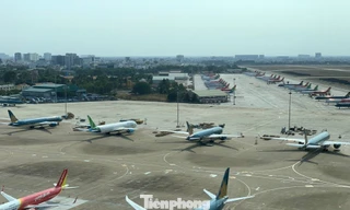 Sân bay Tân Sơn Nhất quá tải ban ngày, tăng chuyến đêm 'cứu' khách dịp Tết