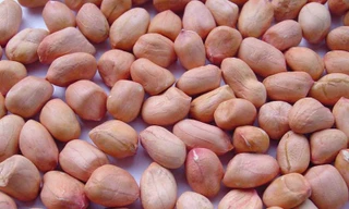 Bé tám tháng tử vong do sặc hạt lạc