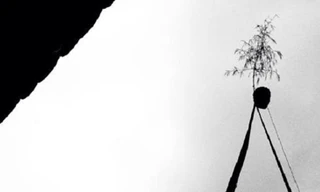 Cây nêu ngày Tết