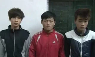 Công an Hà Nội đánh sập hàng loạt websex