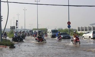 Dịch vụ ăn theo hốt bạc nhờ triều cường