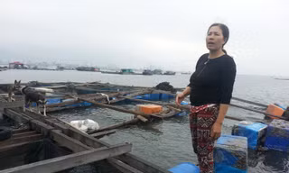 Chị Ngô Thị Hằng bên những bè nuôi cá bán dịp Tết giờ chống trơn.