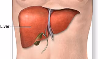 Thuốc dược liệu Boganic bổ gan vào bệnh viện