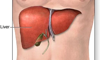 Thuốc dược liệu Boganic bổ gan vào bệnh viện