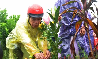 Nước mưa hòa lẫn nước mắt bên ngôi mộ chị Huyền