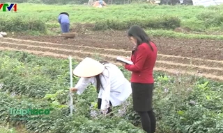 Tiềm năng nguồn dược liệu của Việt Nam