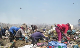 Hàng chục người tham gia nhặt rác tại bãi rác Tân Lập