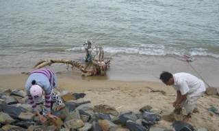 Khu Nhà máy lọc dầu Vũng Rô giải tỏa mặt bằng. Ảnh: Vietnamnet