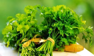 6 loại thảo dược trị mụn từ bên trong