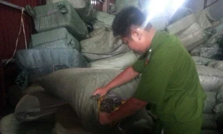 Tạm giữ 70 tấn nguyên liệu thuốc bắc nghi nhập lậu