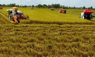 Nông dân được hỗ trợ lãi suất 0% đến hết vụ khi mua vật tư nông nghiệp trong chuỗi liên kết “Cánh đồng lớn”.