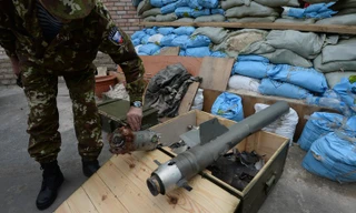 RIA Novosti/Mikhail Voskresenskiy