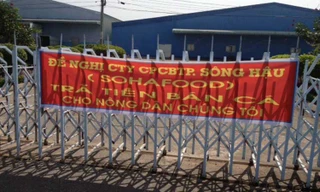 Treo băng rôn đòi nợ tại cổng Sohafood cuối năm 2013. Ảnh: Sáu Nghệ .