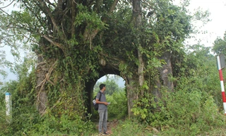 Cổng thành Thọ An