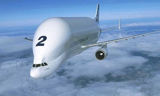 Beluga có thiết kế giống cá voi trắng Bắc cực.