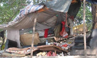 Clip: Sống như 'người rừng' giữa Thủ đô