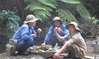 Doanh nhân loại nhau, kẻ vướng vòng lao lý, người lê lết