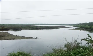 Cần thêm tội danh 'vi phạm quy định sử dụng đất đai'