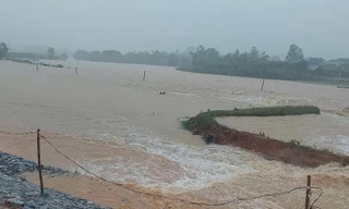 Mưa lũ tại miền Trung diễn biến phức tạp: Vỡ đê quai đập thủy lợi ở Quảng Bình