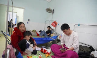Bác bỏ thông tin trẻ em tại Quảng Bình 'mắc virus lạ xâm lấn não nguy hiểm'