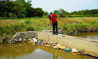 Quảng Bình: Xác lợn vứt la liệt dưới mương