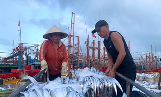 Tin vui: ‘Xóa sổ’ vi phạm đánh bắt cá, một xã thu ngay hơn 300 tỷ đồng 