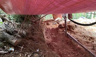 Mỏ vàng có trữ lượng trên 8 tấn bị khai thác trộm