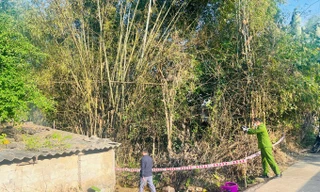 Phát hiện người đàn ông tử vong trên giường, điều tra mới biết hung thủ là anh trai 