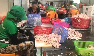 Phát hiện 3 tấn gà đông lạnh không nguồn gốc tại xưởng sơ chế thực phẩm ở Quảng Bình